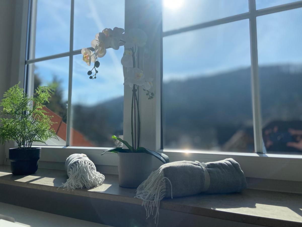 Ferienwohnung Westerwaldblick Haiger المظهر الخارجي الصورة